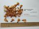 Кедр гималайский семена (20 шт) деодар (Cédrus deodara) RS-01309 фото 4
