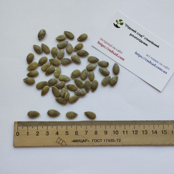 Кавбуз насіння (10 шт) гібрид кавун та гарбуз RS-02063 фото