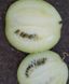 Кавбуз насіння (10 шт) гібрид кавун та гарбуз RS-02063 фото 9