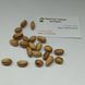 Фисташка сорт Амелия семена (10 шт) среднеранняя орех морозостойкая (-30°C) RS-02066 фото 2