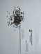 Кервель французька петрушка насіння 0,2 гр. (прибл. 100 шт) (Anthriscus cerefolium) бугиля городня RS-01308 фото 4