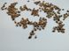 Модрина японська насіння 0,5 грами (прибл 100 шт) Кемпфера (Larix kaempferi) RS-01282 фото 5