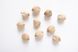 Кария овальная семена (10 шт) орех гикори яйцевидный (Carya ovata) RS-00171 фото 2