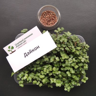 Дайкон семена для микрозелени (50 грамм) RS-00514 фото