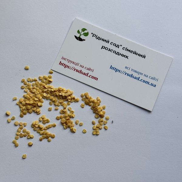 Перец острый Habanero Orange семена (5 шт) Хабанеро оранжевый чили суперхот до 350 000 SHU RS-02158 фото
