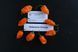 Перец острый Habanero Orange семена (5 шт) Хабанеро оранжевый чили суперхот до 350 000 SHU RS-02158 фото 5