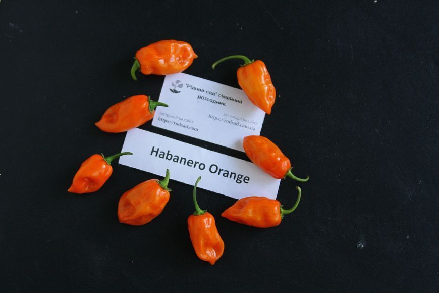 Перец острый Habanero Orange семена (5 шт) Хабанеро оранжевый чили суперхот до 350 000 SHU RS-02158 фото