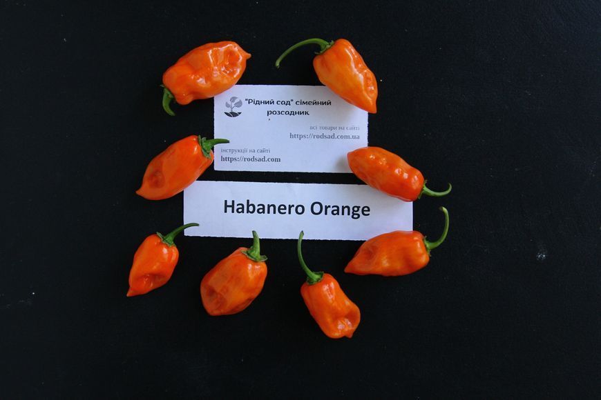 Перец острый Habanero Orange семена (5 шт) Хабанеро оранжевый чили суперхот до 350 000 SHU RS-02158 фото