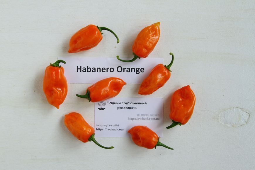 Перец острый Habanero Orange семена (5 шт) Хабанеро оранжевый чили суперхот до 350 000 SHU RS-02158 фото