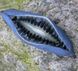 Декенея Фаргеза насіння (5 шт) синя (Decaisnea fargesii) RS-01291 фото 2