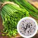Лук Шнитт семена 1 грамм (около 800 шт) скорода резанец (Allium schoenoprasu) многолетний на зелень перо RS-00296 фото 1