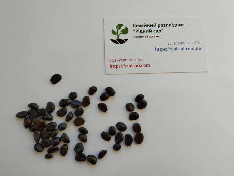 Декенея Фаргеза семена (5 шт) синяя (Decaisnea fargesii) RS-01291 фото