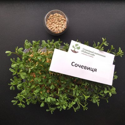 Сочевиця насіння для мікрозелені (20 грамів) RS-00524 фото