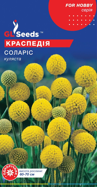 Краспедія Соларіс насіння 0,1 гр. (прибл. 60 шт) куляста (Craspedia variabilis) жовта сухоцвіт For Hobby, TM GL Seeds