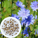 Цикорий семена 0,25 г (прибл 200 шт) (Cichorium intybus) RS-00836 фото 1