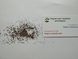 Эстрагон тархун семена 0,2 гр. (около 2000 штук) (Artemisia dracunculus) драконья полынь RS-01307 фото 3