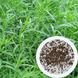 Эстрагон тархун семена 0,2 гр. (около 2000 штук) (Artemisia dracunculus) драконья полынь RS-01307 фото 1
