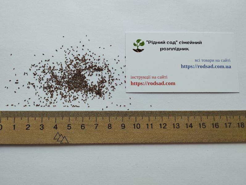Эстрагон тархун семена 0,2 гр. (около 2000 штук) (Artemisia dracunculus) драконья полынь RS-01307 фото