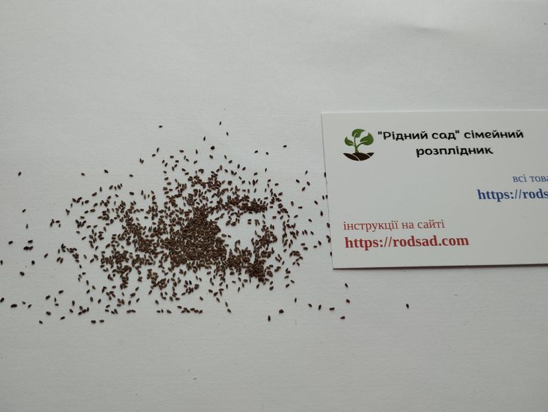 Эстрагон тархун семена 0,2 гр. (около 2000 штук) (Artemisia dracunculus) драконья полынь RS-01307 фото