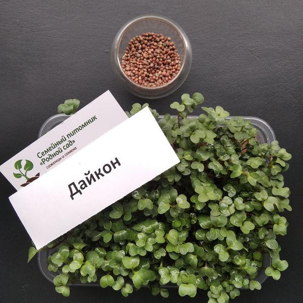 Набор для выращивания микрозелени (26 урожаев) RS-00532 фото
