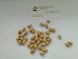 Арахис сорт Аргентинский белый семена (20 шт) земляной орех для посадки RS-01003 фото 2