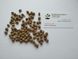 Липа широколиста насіння (10 шт) крупнолистна (Tilia platyphyllos) медонос RS-01297 фото 4