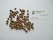 Липа крупнолистная семена (10 шт) широколиственная (Tilia platyphyllos) медонос RS-01297 фото 5