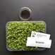 Набір для вирощування мікрозелені (26 врожаїв) RS-00532 фото 5