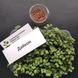 Набір для вирощування мікрозелені (26 врожаїв) RS-00532 фото 6