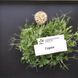 Набір для вирощування мікрозелені (26 врожаїв) RS-00532 фото 8