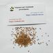 Рукола Деликатесная семена 2 г (прибл 1500 шт) скороспелая RS-00905 фото 4