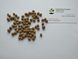 Липа європейська насіння (10 шт) звичайна серцелиста (Tilia europaea) медонос RS-01298 фото 2
