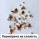 Секвойядендрон гігантський насіння 0,2 гр. (прибл. 40 шт) мамонтове дерево (Sequoiadendron giganteum) веллінгтонія RS-00309 фото 3