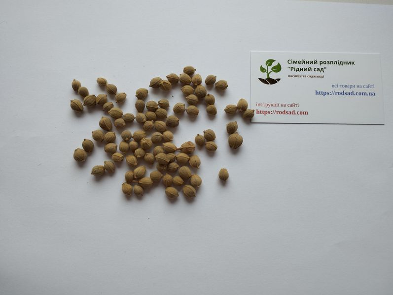Липа европейская семена (10 шт) обыкновенная сердцелистная (Tilia europaea) медонос RS-01298 фото