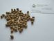Липа крымская семена (10 шт) кавказская (Tilia × euchlora K. Koch) медонос RS-01300 фото 4