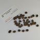 Сосна Арманда семена (10 шт) кедровая сосна Армана (Pinus armandii) белая китайская RS-02029 фото 7