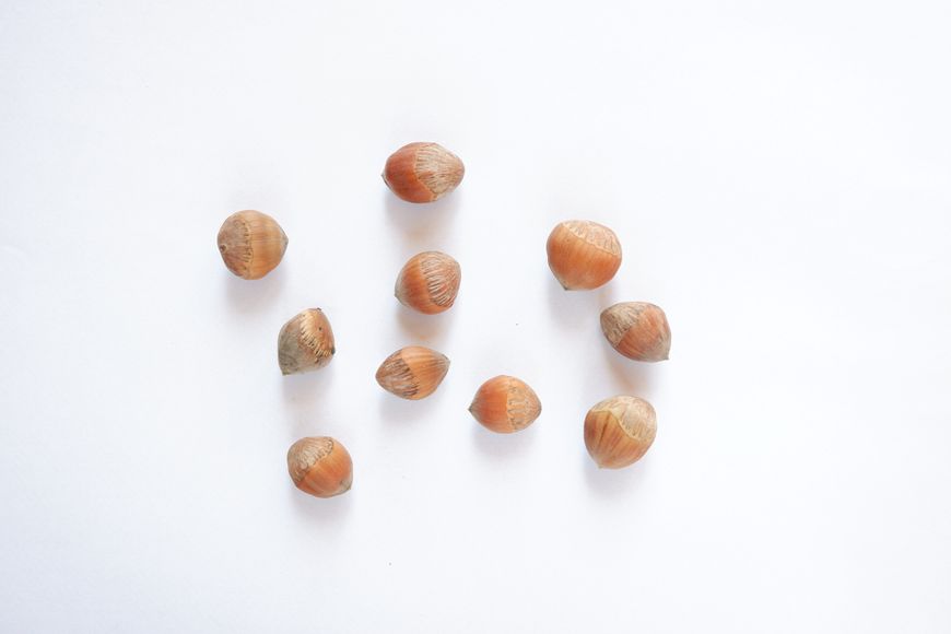 Лещина древовидная семена (20 шт) турецкий фундук медвежий орех (Corylus colurna) подвой для саженцев фундука RS-00089 фото