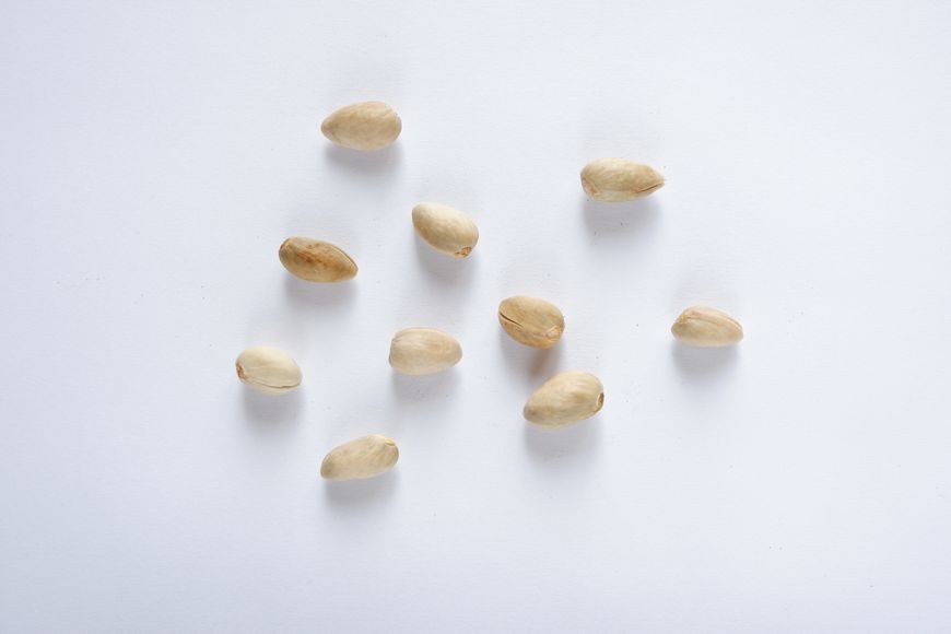 Фисташка настоящая семена (10 шт) орех (Pistácia véra) морозостойкая (-35°C) RS-00003 фото