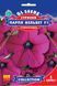Сурфиния Парпл ВельветF1 семена (5 шт), Collection, TM GL Seeds RS-01155 фото 1