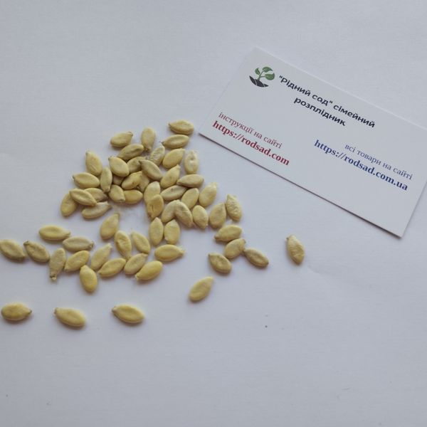 Бенинказа восковая тыква семена (10 шт) китайская зимняя дыня (Benincasa hispida) RS-02062 фото