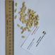 Бенинказа восковая тыква семена (10 шт) китайская зимняя дыня (Benincasa hispida) RS-02062 фото 6
