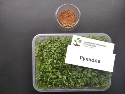 Рукола насіння для мікрозелені (5 грамів) RS-00515 фото