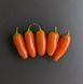 Перец острый Jalapeno Orange семена (5 шт) Халапеньйо оранжевый до 8 000 SHU RS-02159 фото 3