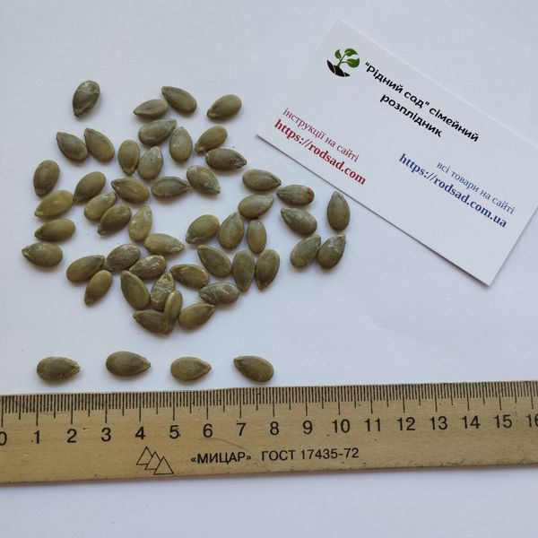 Кавбуз семена (10 шт) гибрид арбуз и тыква RS-02063 фото