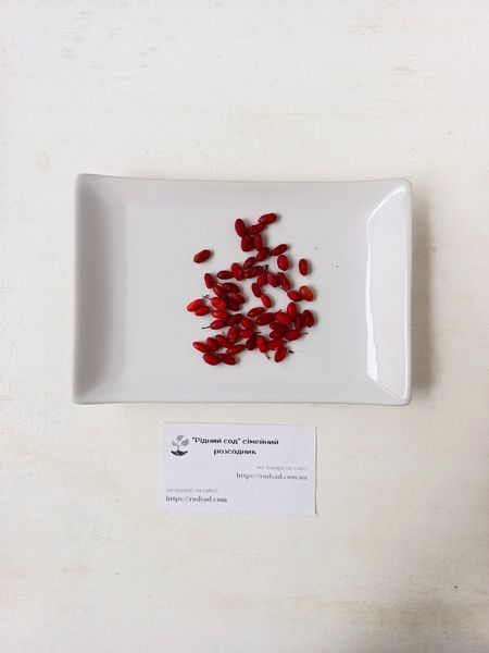 Барбарис насіння (20 шт) європейський звичайний (Berberis vulgaris) RS-00008 фото