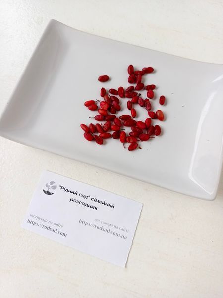 Барбарис насіння (20 шт) європейський звичайний (Berberis vulgaris) RS-00008 фото