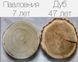 Павловнія Шан Тонг насіння (прибл. 1000 шт) алюмінієве дерево (Paulownia Shan Tong) для деревини морозостійка швидкоростуча RS-00001 фото 4