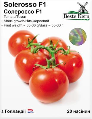Томат Солероссо F1 насіння (20 шт) ультраранній Solerosso червоний низькорослий Beste Kern, TM GL Seeds RS-01331 фото