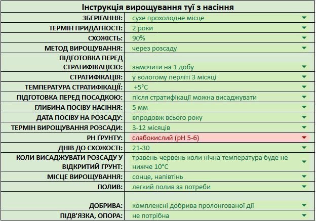 Туя велетенська насіння 0,25 гр. (прибл. 100 шт) складчаста пліката (Thuja plicata) західний червоний кедр RS-02153 фото