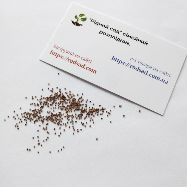 Майоран Гурман семена 0,15 г (прибл 900 шт) (Origanum majorana) RS-00847 фото